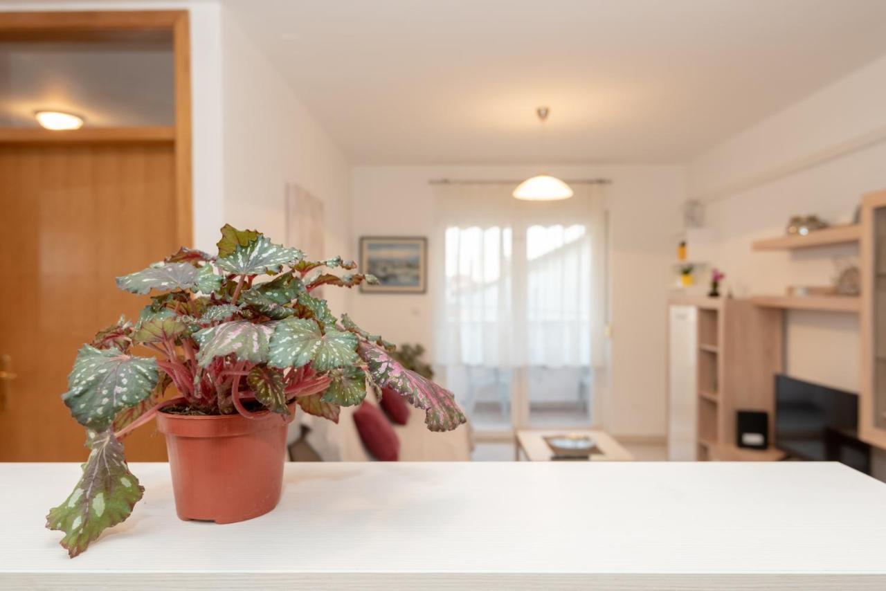 Apartman Valter Zadar Exteriör bild